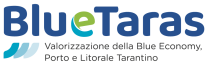 logo-bluetaras-blue